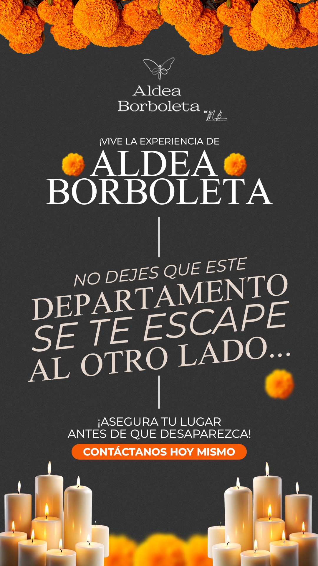 Aldea borboleta 2